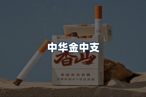 中华金中支